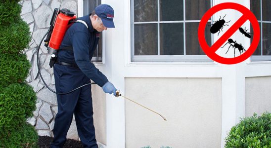 Sason Böcek İlaçlama böcek ilaçlama ve haşere kontrolü — ilaclama-tr.com